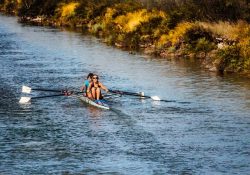 rowing-898008_640